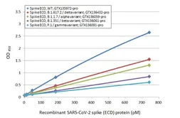 SARS-CoV-2 (COVID-19) Spike (ECD) Protein, P.1 / Gamma variant, His tag (active). GTX136091-pro