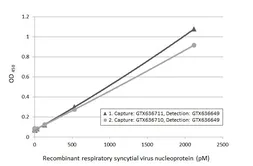 Respiratory Syncytial virus type A Nucleoprotein, DDDDK tag. GTX136751-pro