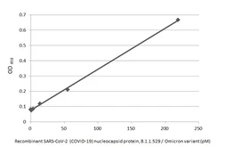 SARS-CoV-2 (COVID-19) Nucleocapsid protein, Omicron / BA.1 variant, His tag. GTX136779-pro