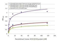 SARS-CoV-2 (COVID-19) Spike (ECD) Protein, Omicron / BA.1 variant, His tag. GTX136780-pro