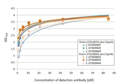 Respiratory Syncytial virus type B Nucleoprotein, DDDDK tag. GTX136931-pro