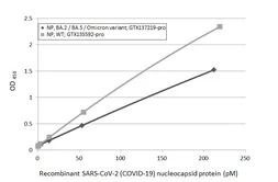 SARS-CoV-2 (COVID-19) Nucleocapsid protein, Omicron / BA.2 / BA.5 variant, His tag. GTX137219-pro