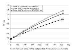 SARS-CoV-2 (COVID-19) Spike (ECD) Protein, Omicron / BF.7 variant, His tag. GTX137880-pro