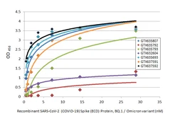 SARS-CoV-2 (COVID-19) Spike (ECD) Protein, Omicron / BQ.1 variant, His tag. GTX137881-pro
