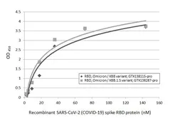 SARS-CoV-2 (COVID-19) Spike RBD Protein, Omicron / XBB variant, His tag. GTX138115-pro