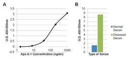 Anti-Apolipoprotein A1 antibody [6001] used in ELISA (ELISA). GTX15660