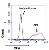 Anti-CD66e antibody [1106] used in Flow cytometry (FCM). GTX15677
