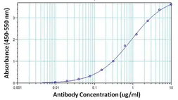 Anti-hCG beta antibody [P1G7F12 (BIO-BCG-005)] used in ELISA (ELISA). GTX15728