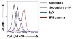 Anti-Interferon gamma antibody [B133.5] used in Flow cytometry (FACS). GTX15750