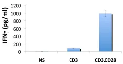 Anti-Interferon gamma antibody [B133.5] (Biotin) used in ELISA (ELISA). GTX15751