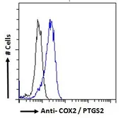 Anti-COX2 antibody, C-term used in Flow cytometry (FACS). GTX15839