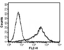 Anti-APRIL antibody [Sacha-1] used in Flow cytometry (FACS). GTX16085