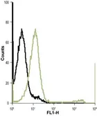 Anti-Kir7.1 antibody used in Flow cytometry (FCM). GTX16698