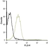 Anti-P2Y1 antibody used in Flow cytometry (FCM). GTX16924