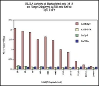 Anti-M13 antibody [E1] (Biotin) used in ELISA (ELISA). GTX17269