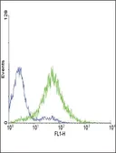 Anti-Endothelin A Receptor antibody used in Flow cytometry (FACS). GTX17405