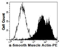 Anti-alpha Smooth Muscle Actin antibody [9H15] (PE) used in Flow cytometry (FACS). GTX17501