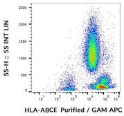 Anti-HLA-ABCE antibody [TP25.99SF] used in Flow cytometry (FACS). GTX17603