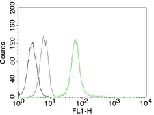 Anti-Vimentin antibody [VM452] used in Flow cytometry (FCM). GTX17723