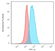 Anti-CD3 epsilon antibody [C3e/1931] used in Flow cytometry (FCM). GTX17861