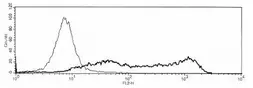 Anti-OPG antibody [bony-1] used in Flow cytometry (FCM). GTX18051