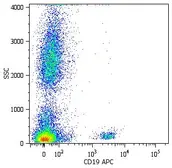 Anti-CD19 antibody [LT19] (APC) used in Flow cytometry (FACS). GTX18224