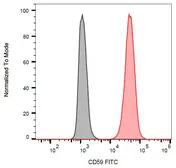 Anti-CD59 antibody [MEM-43] (FITC) used in Flow cytometry (FACS). GTX18237