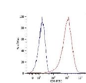 Anti-CD9 antibody [MEM-61] (FITC) used in Flow cytometry (FACS). GTX18241