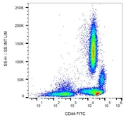 Anti-CD44 antibody [MEM-85] (FITC) used in Flow cytometry (FCM). GTX18243