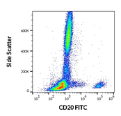 Anti-CD20 antibody [LT20] (FITC) used in Flow cytometry (FACS). GTX18268