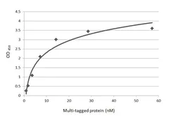 Anti-c-Myc antibody [9E10] used in ELISA (ELISA). GTX20032