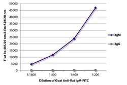 Goat Anti-Rat IgM (mu chain) antibody, pre-adsorbed (FITC). GTX20302