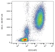 Anti-CD10 antibody [MEM-78] (APC) used in Flow cytometry (FACS). GTX20659-07