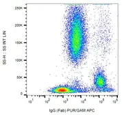 Mouse Anti-Human IgG (Fab) antibody [4A11]. GTX20771