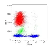 Anti-CD5 antibody [CRIS1] (PE) used in Flow cytometry (FACS). GTX21157