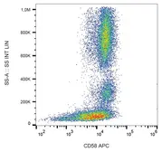 Anti-CD58 antibody [MEM-63] (APC) used in Flow cytometry (FACS). GTX21420-07