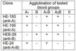 Anti-Blood Group A antigen antibody [HE-195] used in Agglutination (Agglutination). GTX22522