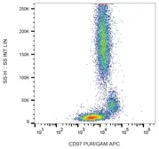 Anti-CD97 antibody [MEM-180] used in Flow cytometry (FACS). GTX22527