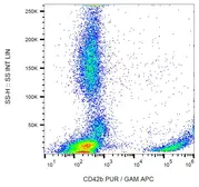 Anti-CD42b antibody [HIP1] used in Flow cytometry (FACS). GTX22578