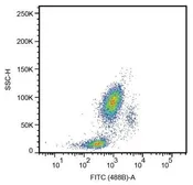 Anti-CD33 antibody [HIM3-4] used in Flow cytometry (FCM). GTX22579