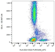 Anti-HLA-DQ1 + HLA-DQ3 antibody [HL-37] used in Flow cytometry (FACS). GTX22600