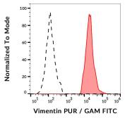 Anti-Vimentin antibody [VI-RE/1] used in Flow cytometry (FACS). GTX23974
