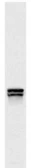Anti-Lys 20p + 21p antibody [31F5] used in Western Blot (WB). GTX24574