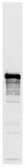 Anti-Nsr1p antibody [31C4] used in Western Blot (WB). GTX24642
