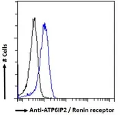 Anti-Renin Receptor antibody used in Flow cytometry (FACS). GTX25959