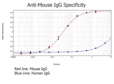 Rabbit Anti-Mouse IgG antibody, pre-adsorbed. GTX27070