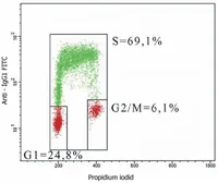 Anti-BrdU antibody [MoBu-1] used in Flow cytometry (FACS). GTX28039