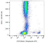 Anti-CD19 antibody [LT19] (Biotin) used in Flow cytometry (FACS). GTX28331-02