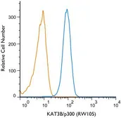 Anti-EP300 antibody [RW105] used in Flow cytometry (FACS). GTX30618