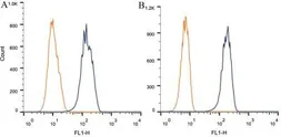 Anti-Nestin antibody [10C2] used in Flow cytometry (FCM). GTX30671